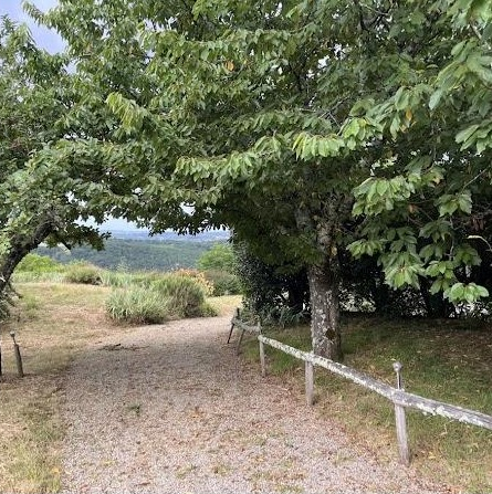 Tree-lined path through the grounds
